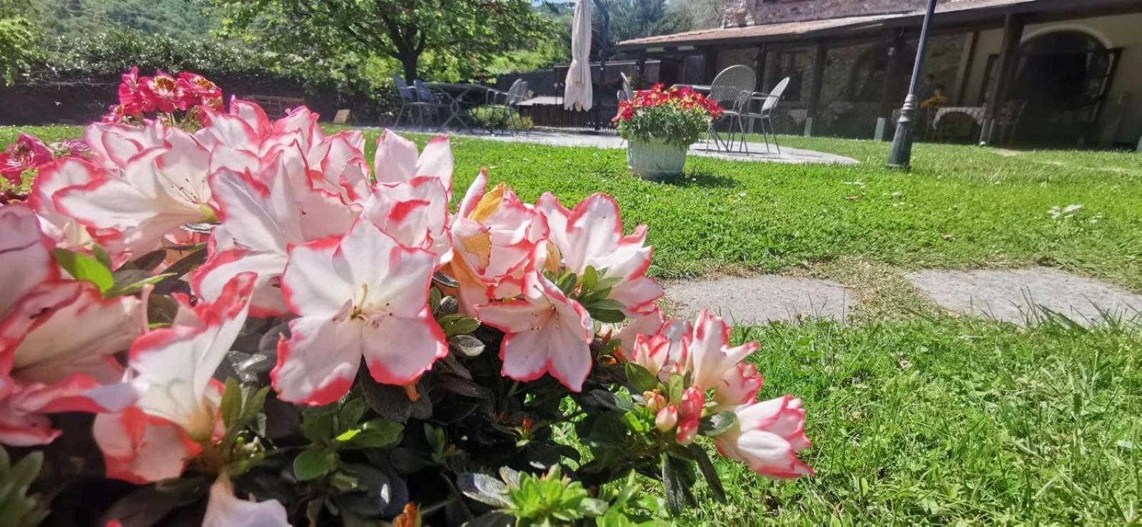Relais Borgofasceo Ortovero