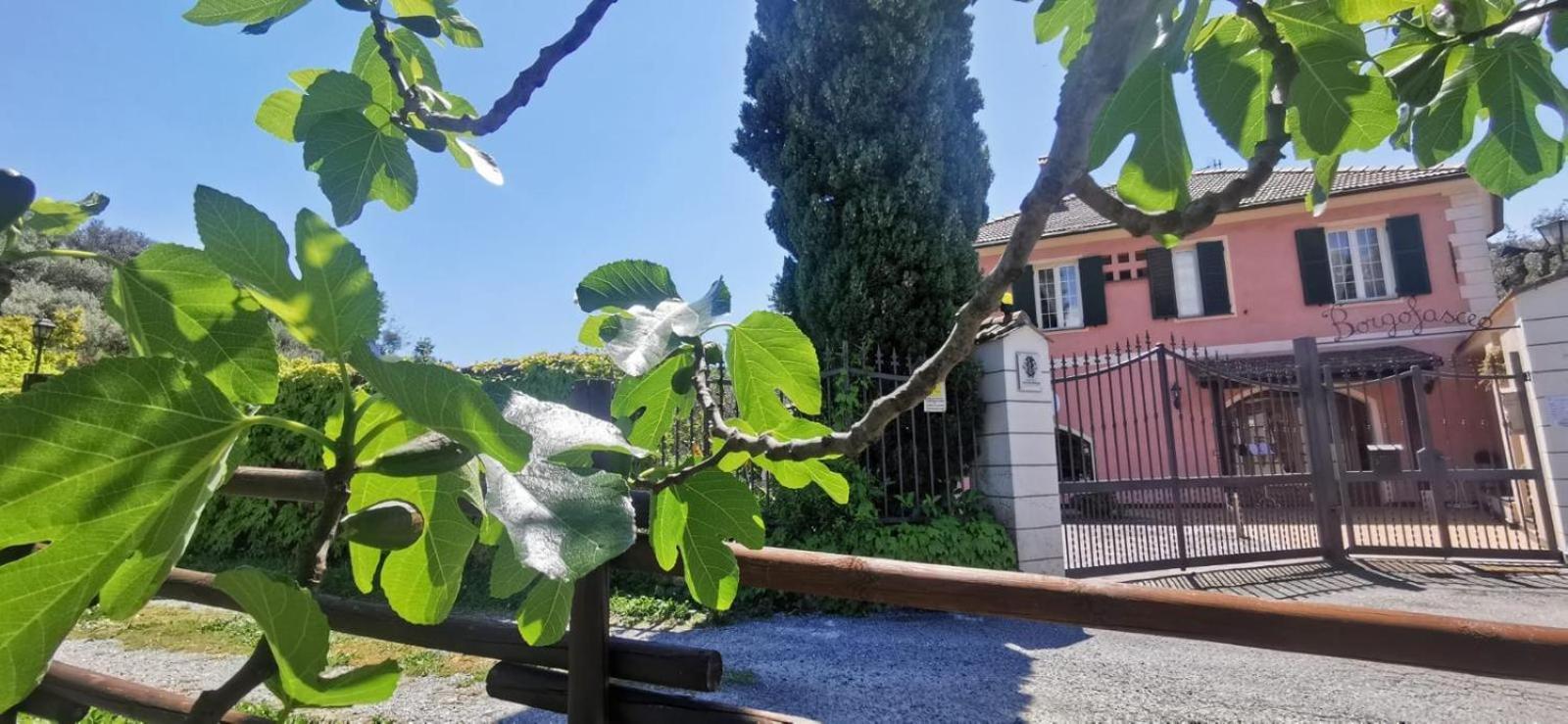 Relais Borgofasceo 3* Ortovero